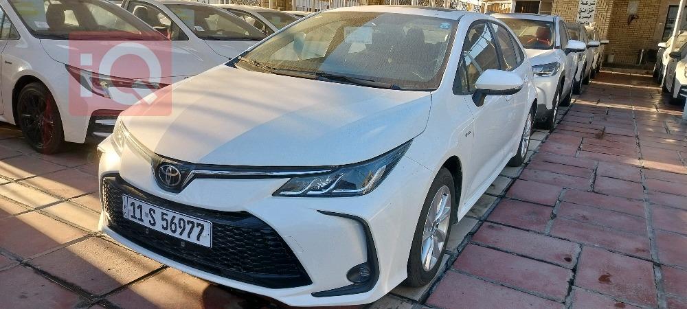 تويوتا كورولا